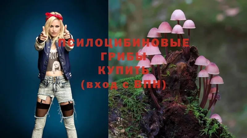 Галлюциногенные грибы Cubensis  Карасук 